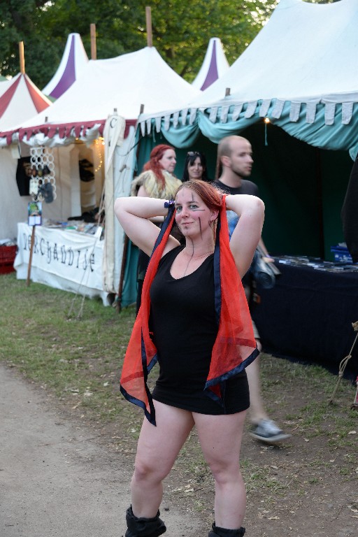 ../Images/Vrijdag Castlefest 2015 251.jpg